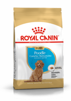Royal Canin Poodle voer voor puppy 3kg - thumbnail
