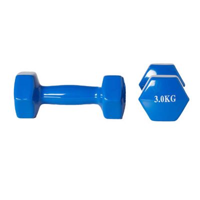 Active Panther dumbbell set 2x 3kg blauw Active Panther dumbbell set 2x 3kg blauw