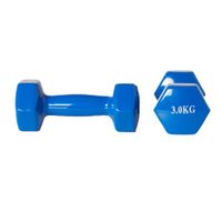 Active Panther dumbbell set 2x 3kg blauw - thumbnail