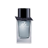 Burberry - Mr Burberry Indigo EDT 100 ml - thumbnail