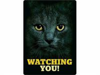 Plenty gifts Waakbord blik zwarte kat watching you - thumbnail