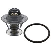 Thermostaat 18290