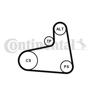 Poly V-riem set CONTINENTAL CTAM, u.a. für VW, Audi, Seat, Skoda