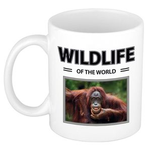 Orang oetan Aap mok met dieren foto wildlife of the world