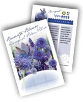 Cadeau premium Boeketje Blauw (100 zakjes)