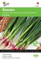 Bosuien rood - Buzzy