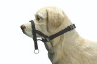 Beeztees 765388 Zwart Nylon Groot Hond Standaard halsband - thumbnail