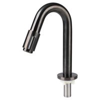 Differnz Fonteinkraan gebogen 19cm gun metal 30.416.35