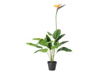 LIVARNO Kunstplant (Strelitzia)