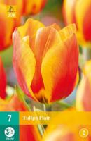 Tulp Flair 7 bollen