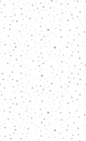Duni dunicel tafelkleed silver stardust 138x220cm wit 1 stuks