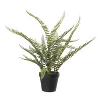 Varen Nephrolepis - Kunstplant - Groen - 50 cm - Kunstplanten - thumbnail