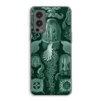 Haeckel Cubomedusae: OnePlus Nord 2 5G Transparant Hoesje