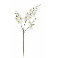 Kunstbloem Orchidee tak - wit - 75 cm - Kunst zijdebloemen - siertakken