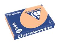 Clairefontaine Trophée Pastel, gekleurd papier, A4, 120 g, 250 vel, abrikoos