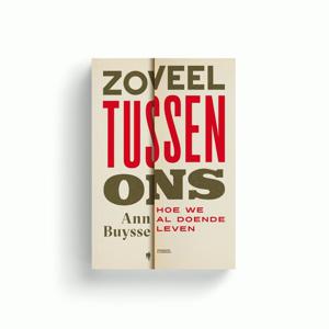 Zoveel tussen ons - Ann Buysse - ebook