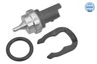 Temperatuursensor 11148210006