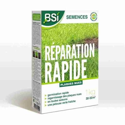 BSI - Graszaad - Snelle reparatie - Met beschermende coating - Hoge kwaliteit - tot 50m² - 1Kg