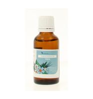 ECT019 Utero Endocrinotox - thumbnail
