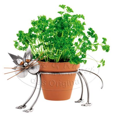 Kat - Kruidenpot