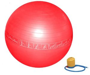 Gymbal RS Sports anti burst 65cm met pomp rood