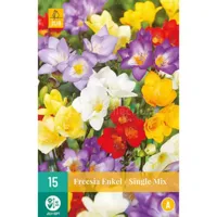 Bloembollen Freesia Enkel Mix 15st