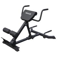 Maxxus Hyperextensie Pro
