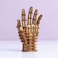 3D puzzel van hout - Hand