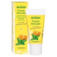 Bergland Propolis Zalf Actief