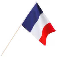 Zwaaivlag Frankrijk (30x45cm)