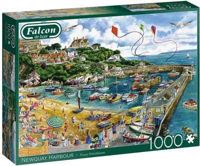 Newquay Harbour Puzzel 1000 Stukjes