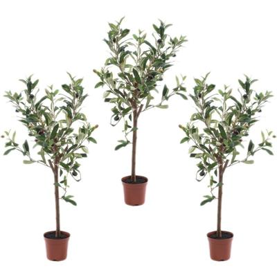 Kunstplant Groene Olijfboom 65 cm in Pot - 3x - Kunstboom voor Binnen