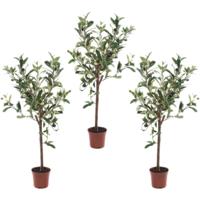 Kunstplant Groene Olijfboom 65 cm in Pot - 3x - Kunstboom voor Binnen