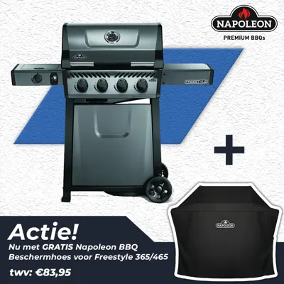 Napoleon Freestyle™ 425 SB Grafietgrijs
