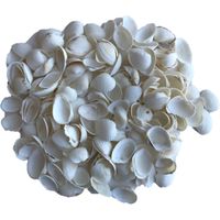 Decoratie hobby schelpen parelmoer/wit 250 gram