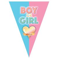 Gender reveal babyshower thema vlaggetjes slinger/vlaggenlijn van 5 meter   - - thumbnail