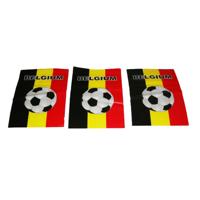 Vlaggenlijn voetbal - België - multi - 10 m- voetbalfeest decoratie