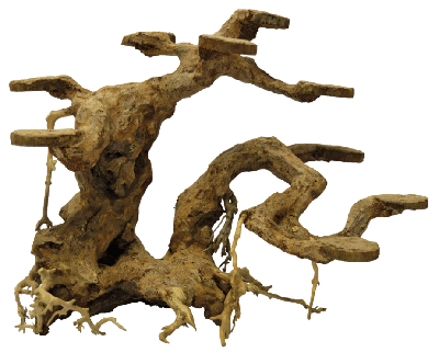 Bonsai Planter Medium aquaria - Superfish