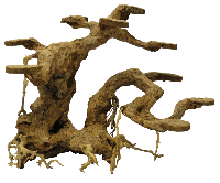 Bonsai Planter Medium aquaria - Superfish