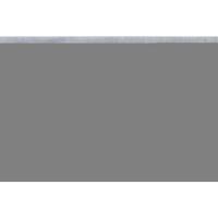 Faller 272313 N Voetpad (l x b) 300 mm x 120 mm