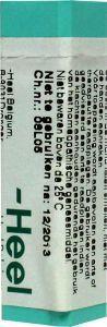 Sulphuricum acidum LM10