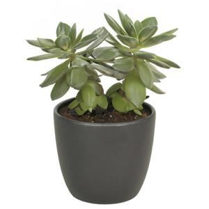 Floran bloempot/plantenpot Atmosphera - mat antraciet grijs - keramiek - D12 x H10 cm