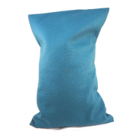 Ecologisch Kersenpitkussen 30x20 cm met wasbaar hoesje (Kleur: Azuur Blauw)