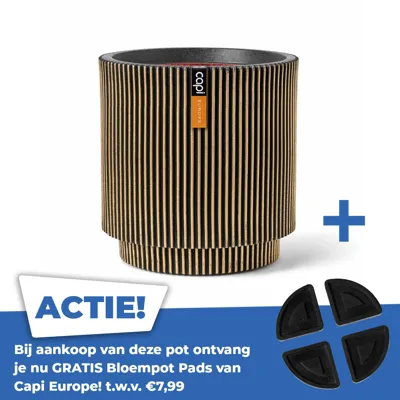 Vaas cylinder groove nl 44x46cm zwart goud Vaas cylinder groove nl 44x46cm zwart goud