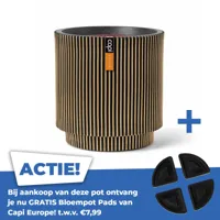 Vaas cylinder groove nl 44x46cm zwart goud