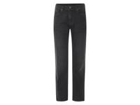 LIVERGY Heren jeans - Straight fit (Grijs, 56 (40/32))