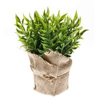 Kunstplant muizendoorn kruiden groen in jute pot 20 cm - thumbnail