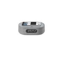 Harman/Kardon CITATAION OASIS Draagbaar Digitaal Grijs - thumbnail