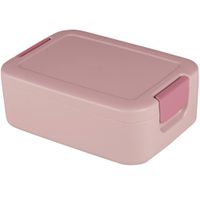 Sunware lunchbox met bentobakje roze / donkerroze