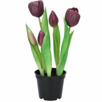 Daan Kromhout Kunstplant in pot tulp 26 cm | 6 stuks